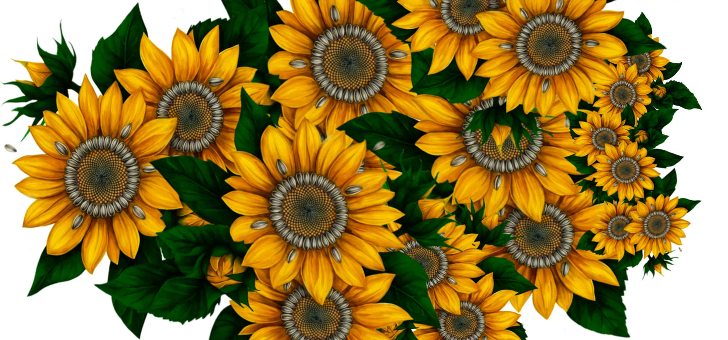 Ceramic Mug Sunflowers – Black Handle 325ml