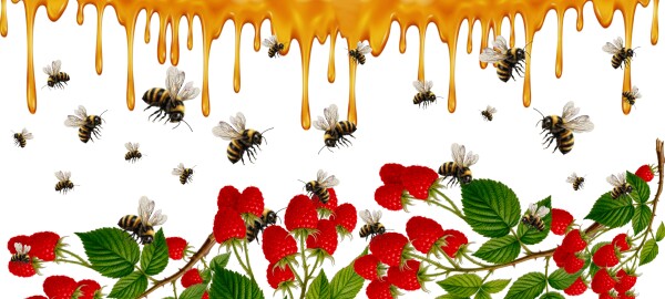 Keramische mok bijen frambozen honing geel handvat 325ml zomer