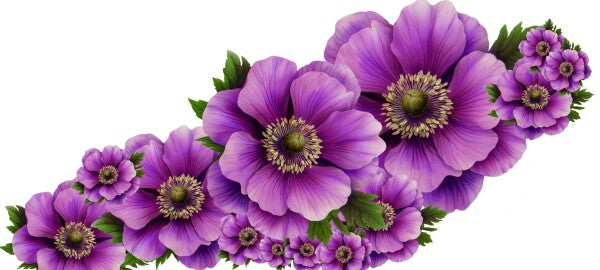 Paarse Anemonen – Keramische Mok met Zwart Handvat