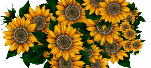 Zonnebloemen – Keramische Mok met Zwart Handvat